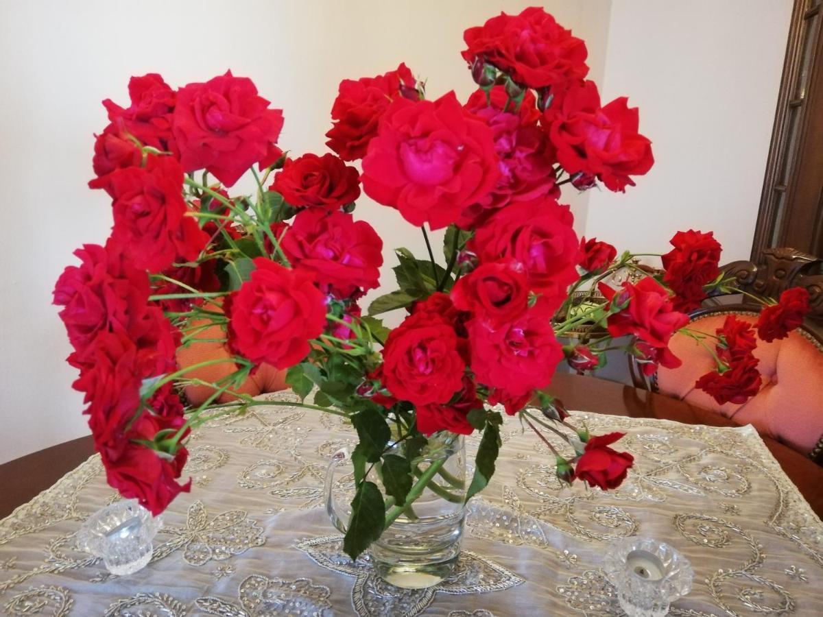 Rosen Und Rosse Διαμέρισμα Τσβαϊμπρίκεν Εξωτερικό φωτογραφία